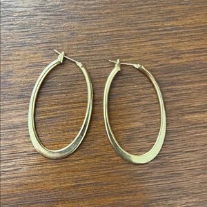 Elegant Gold Hoop Earrings
